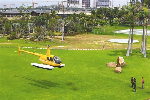 滑翔伞、天空跳伞成旅游新宠，旅游业迎来“离地经济”新赛道